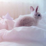 11084832_809346879145820_1060338324_a