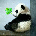 11378972_1076275029052865_35161874_a