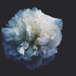 11356528_1450111028644275_802522568_a