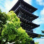 10358253_271454173033562_336143480_a