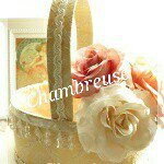 10919064_916477678371512_2040108011_a