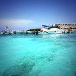 10608047_1445524295734970_1549749256_a