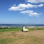 11311289_1602790133293734_1666416175_a