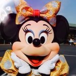 10611188_285419381650692_1451112159_a