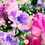 Profile_309253163_75sq_1363490454