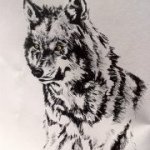 Profile_340842049_75sq_1364798303