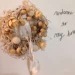 10919687_1571661549737933_469438551_a