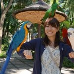 915443_1416368855304197_1046935074_a