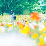 11359000_837061516372024_735511798_a