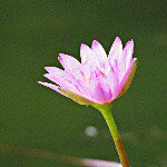 11378317_1518964681676355_1320208332_a