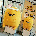 11085018_355583451302628_1131123770_a