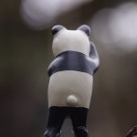 Profile_406654512_75sq_1398541848