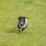 1516891_557223627715905_657911703_a