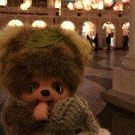 10554143_768309159858169_1009790771_a