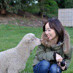 10432030_1514620108818369_432320498_a