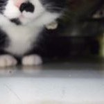 10488702_589257361187822_1247706635_a