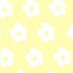 1688347_1487811574807659_404034480_a