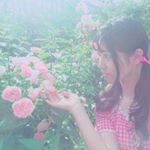 11417437_812414265522631_1953929062_a