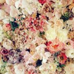 10727444_788702474527999_1040938615_a