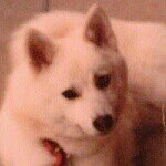 Profile_1035823344_75sq_1398865283