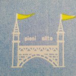 10919348_1530054567267094_311822053_a