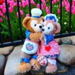 11378519_630212083781213_1972003758_a