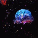 11055985_1582824035322293_1224403457_a