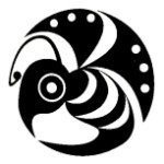 10725048_113130752365985_378463722_a