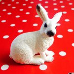 927372_448356665312912_2076101424_a