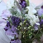 11311098_907097102689608_1022172869_a