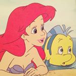 11326373_841977959219861_959965517_a