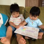 11326607_433624863487882_768497547_a