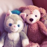 10899512_1602003633369379_1116459532_a