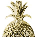 11266476_475232275984367_1277951869_a