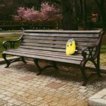 11349410_866502206767737_1990169307_a