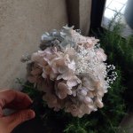 11287833_1668627700034849_2101450773_a