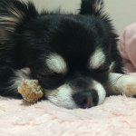 11259610_1037160992968286_1411755172_a