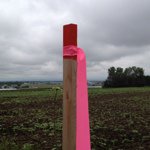 Profile_193860904_75sq_1342172355