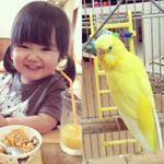 11296620_867474283342452_691300806_a