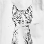 11410374_461716860672177_1870188564_a