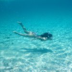 10387797_1672849146273554_452392091_a