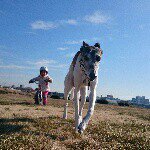 11093025_744847538967562_41386826_a