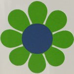 10932447_844715548924087_396868419_a