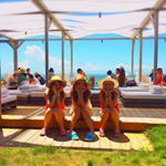 11191282_725951964194401_630873227_a