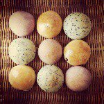 10914423_445098805642982_1688841421_a