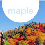 10838708_363929760444628_1510615518_a