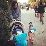 11375775_400662113464618_1948322721_a