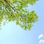 11235870_1396910820635576_1685330215_a