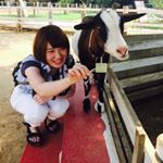 1389707_1680887832142630_385774277_a