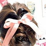 11251642_1617322261889523_950448730_a